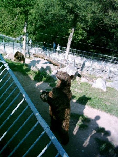 Datei:2004-09-04-Jahresausflug grosse Funken-04.jpg