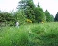 2004-06-09-Feuerwehr-07.jpg