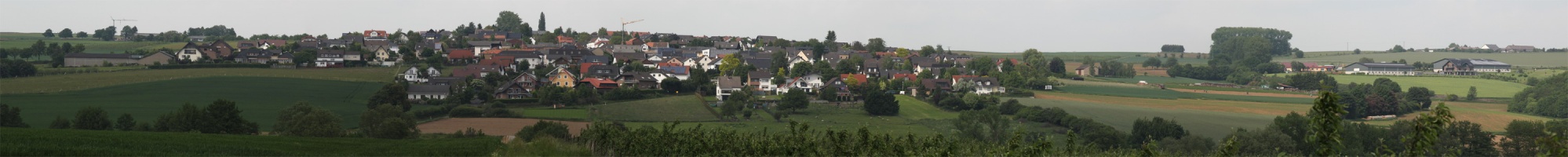 2010-06-01-Birresdorf-Pano-Crop-300px.jpg
