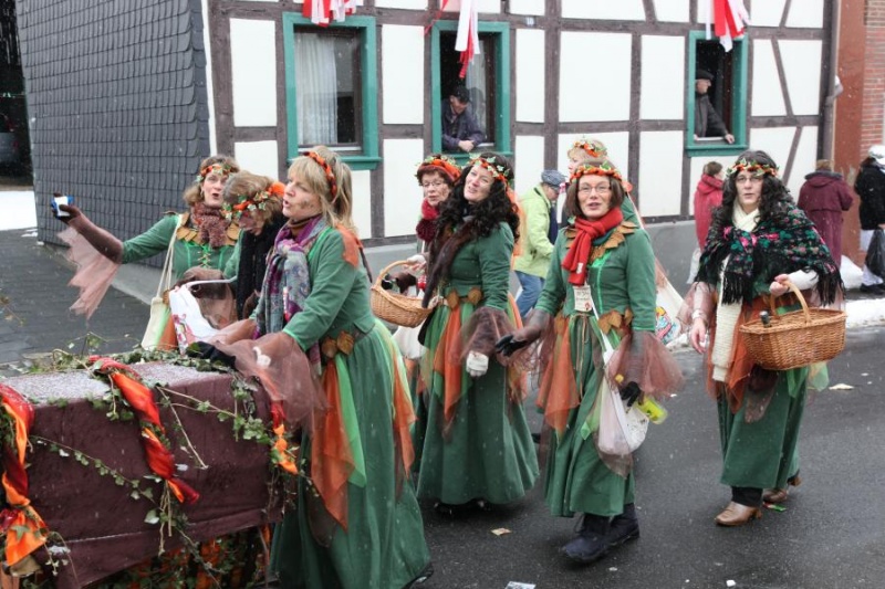Datei:2010-02-14-Umzug Ringen-40.jpg