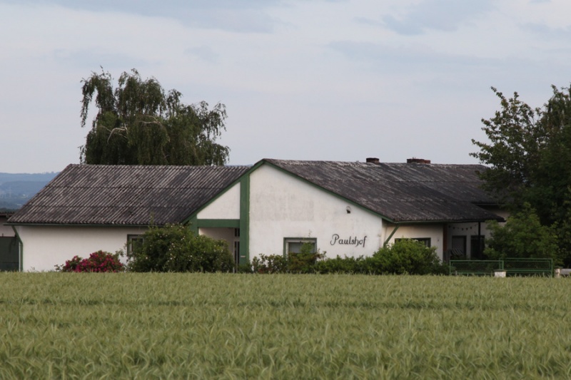 Datei:2012-06-05-Paulshof.jpg