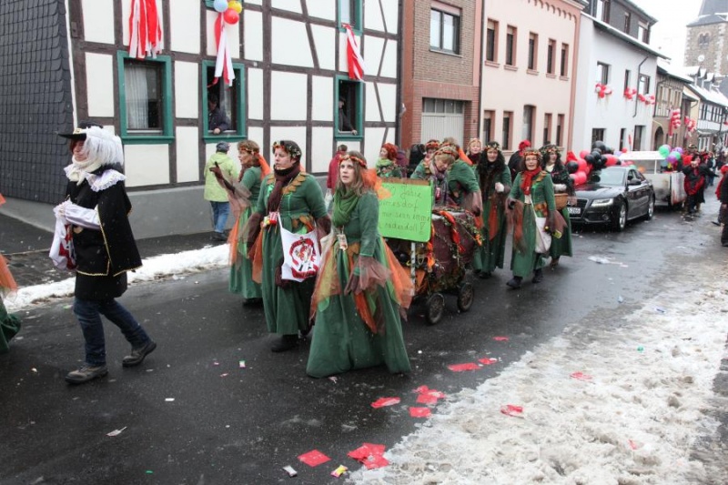 Datei:2010-02-14-Umzug Ringen-39.jpg