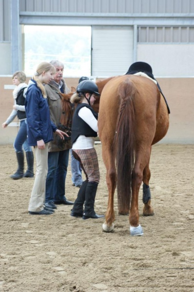 Datei:2009-04-19-Alte Burg-Hufeisen-01.jpg