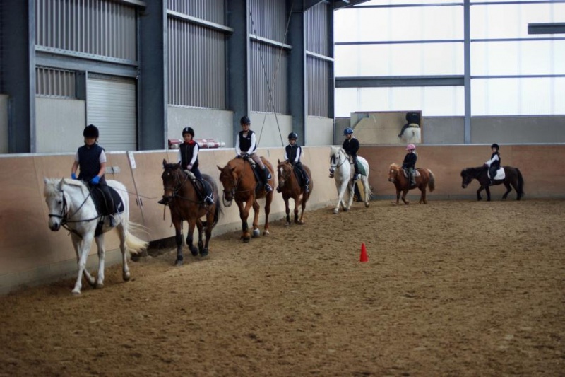 Datei:2009-04-19-Alte Burg-Hufeisen-08.jpg