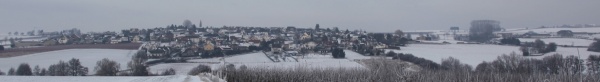 2010-01-08-Birresdorf-13.jpg