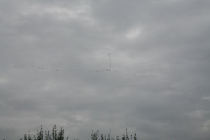 2006-11-03-Abschluss DEK-042.jpg