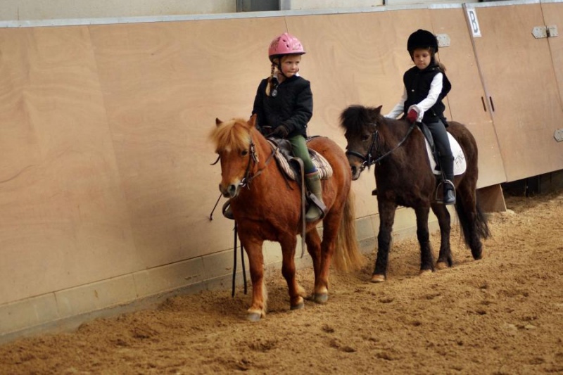 Datei:2009-04-19-Alte Burg-Hufeisen-07.jpg